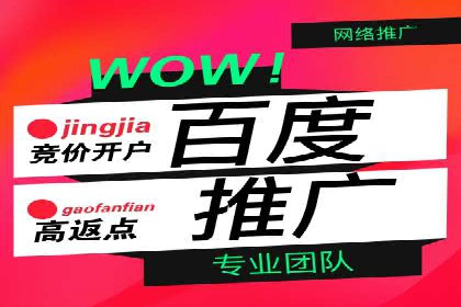 百度推广账户日常管理及优化技巧——以某品牌为例